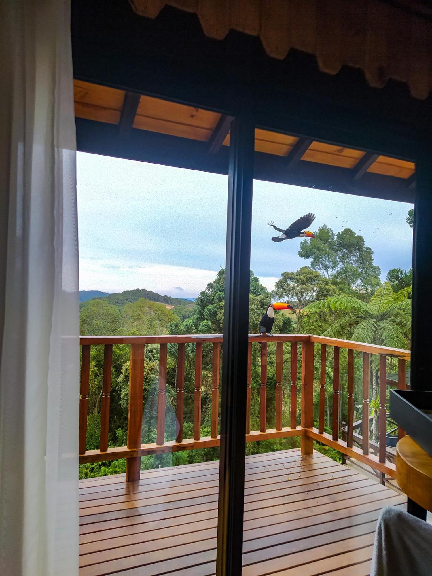 Chales Descanso Na Serra Monte Verde  Kamer foto